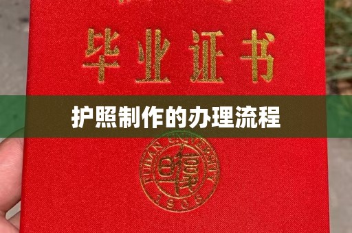 于都护照制作的办理流程