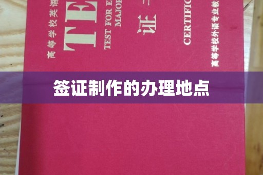 尼木签证制作的办理地点