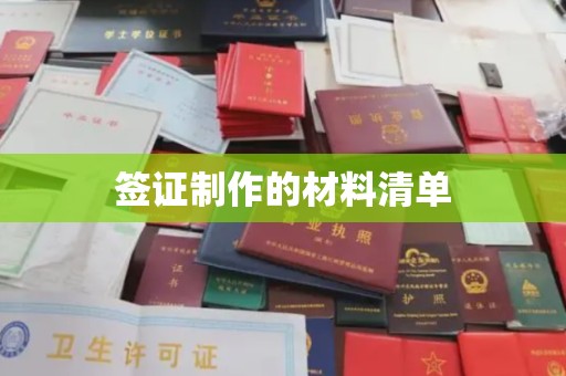 东山签证制作的材料清单