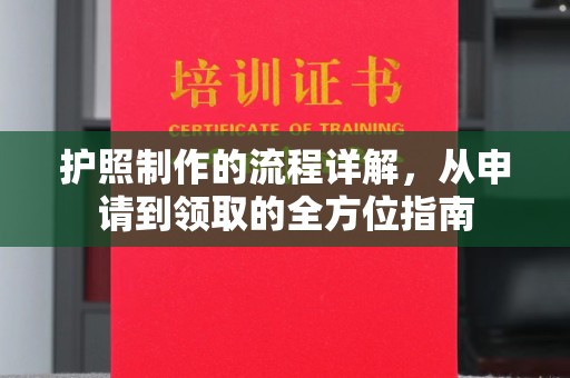 隆林护照制作的流程详解，从申请到领取的全方位指南